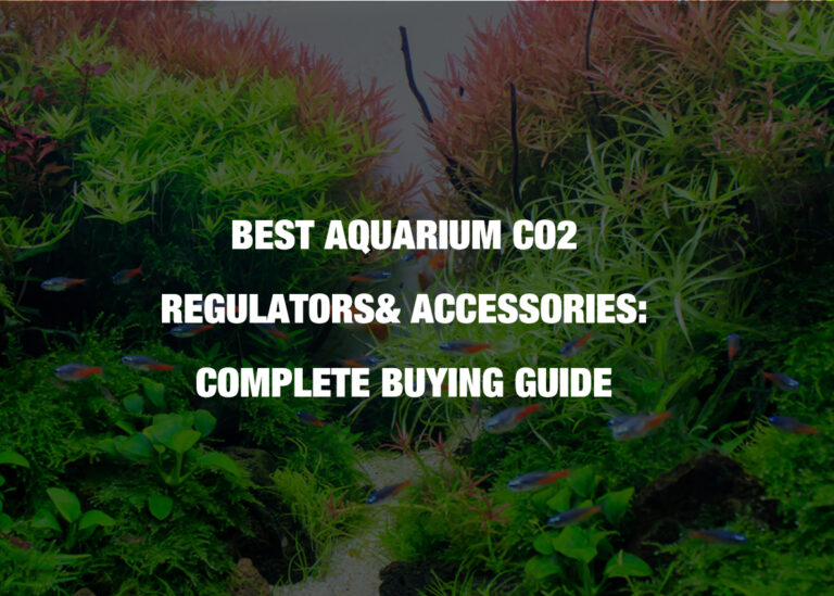 Best Aquarium CO2 Regulators& Accessories: Complete Buying Guide